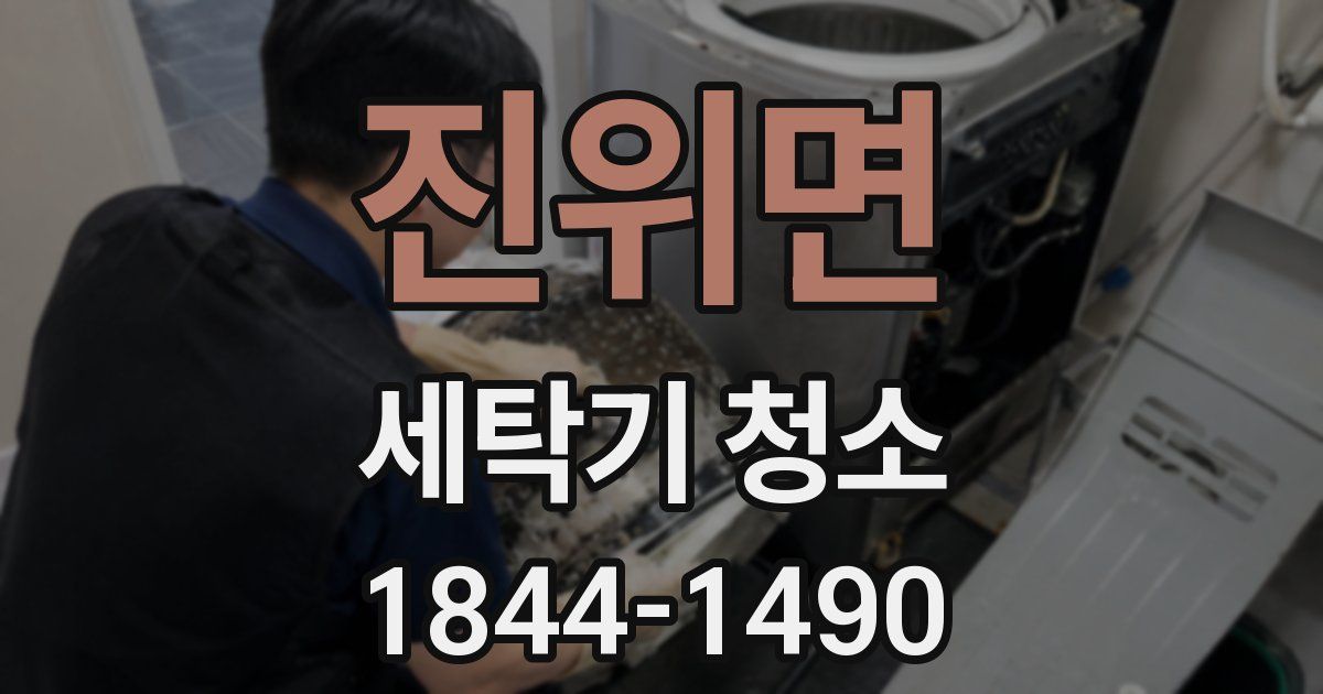 진위면 세탁기 청소