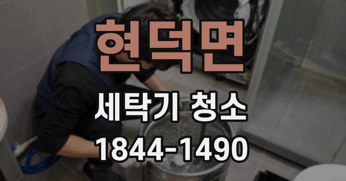 현덕면 세탁기 청소