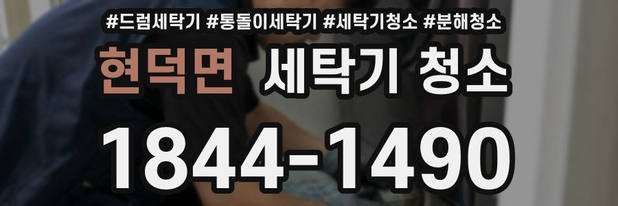 현덕면 세탁기 청소