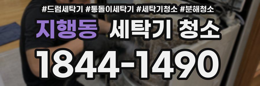 지행동 세탁기 청소