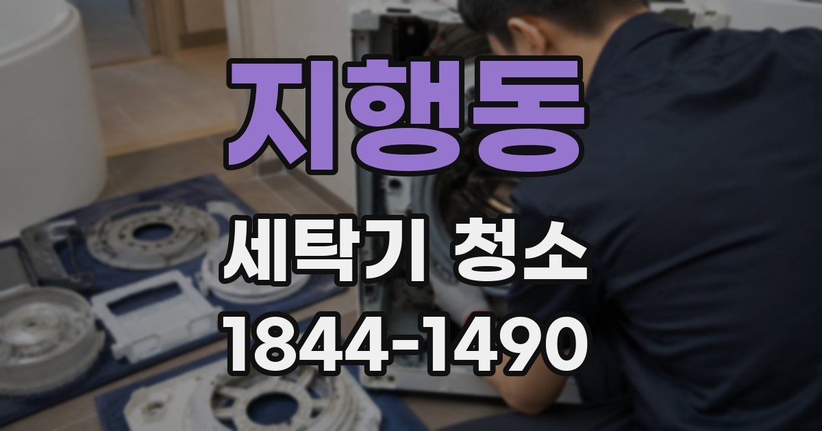 지행동 세탁기 청소