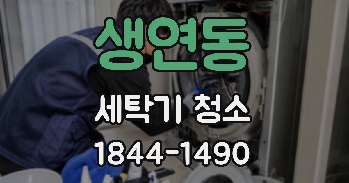생연동 세탁기 청소