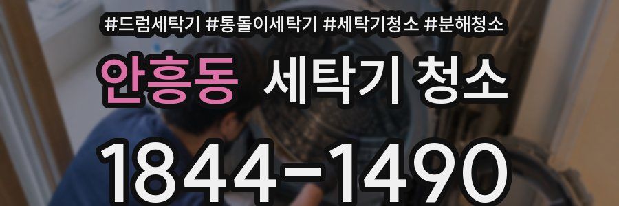 안흥동 세탁기 청소