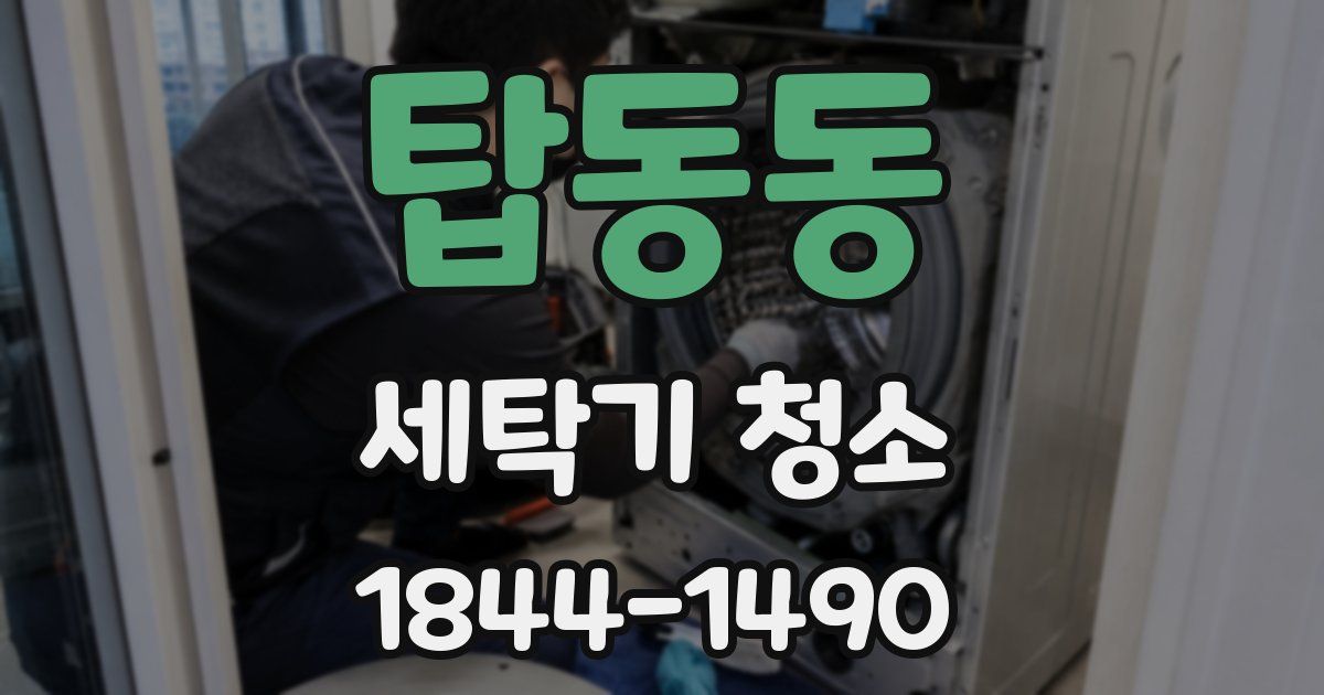 탑동동 세탁기 청소