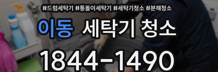 이동 세탁기 청소