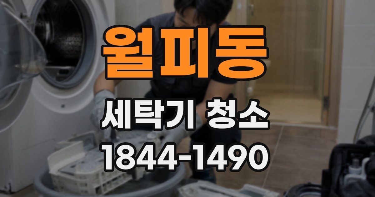 월피동 세탁기 청소