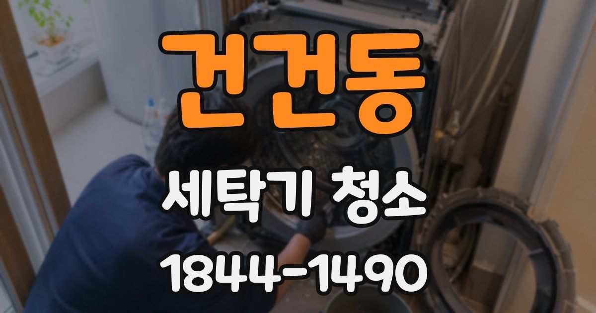 건건동 세탁기 청소
