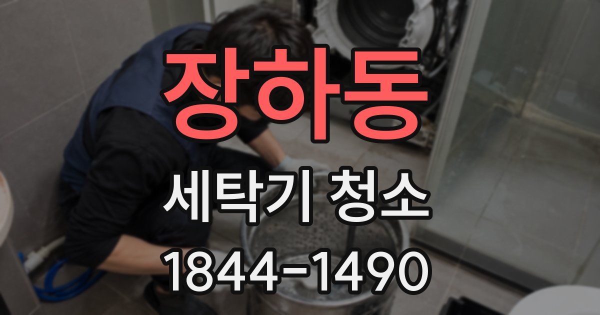 장하동 세탁기 청소