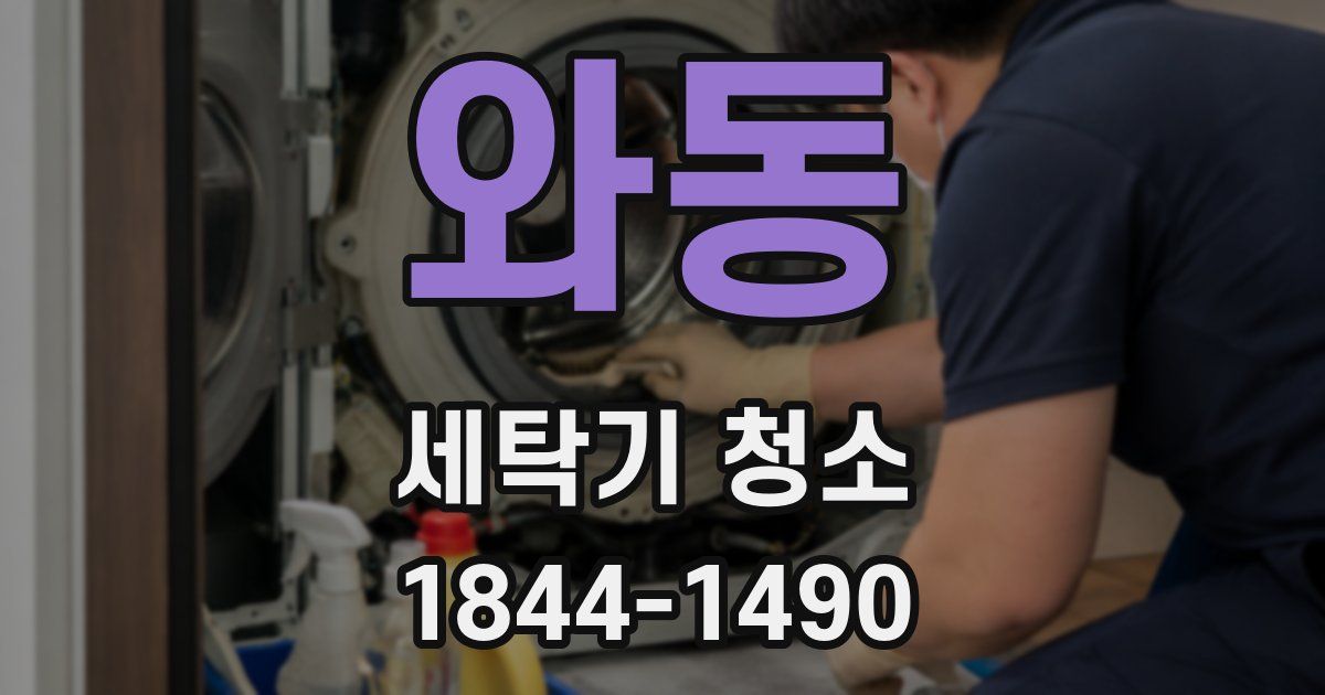 와동 세탁기 청소