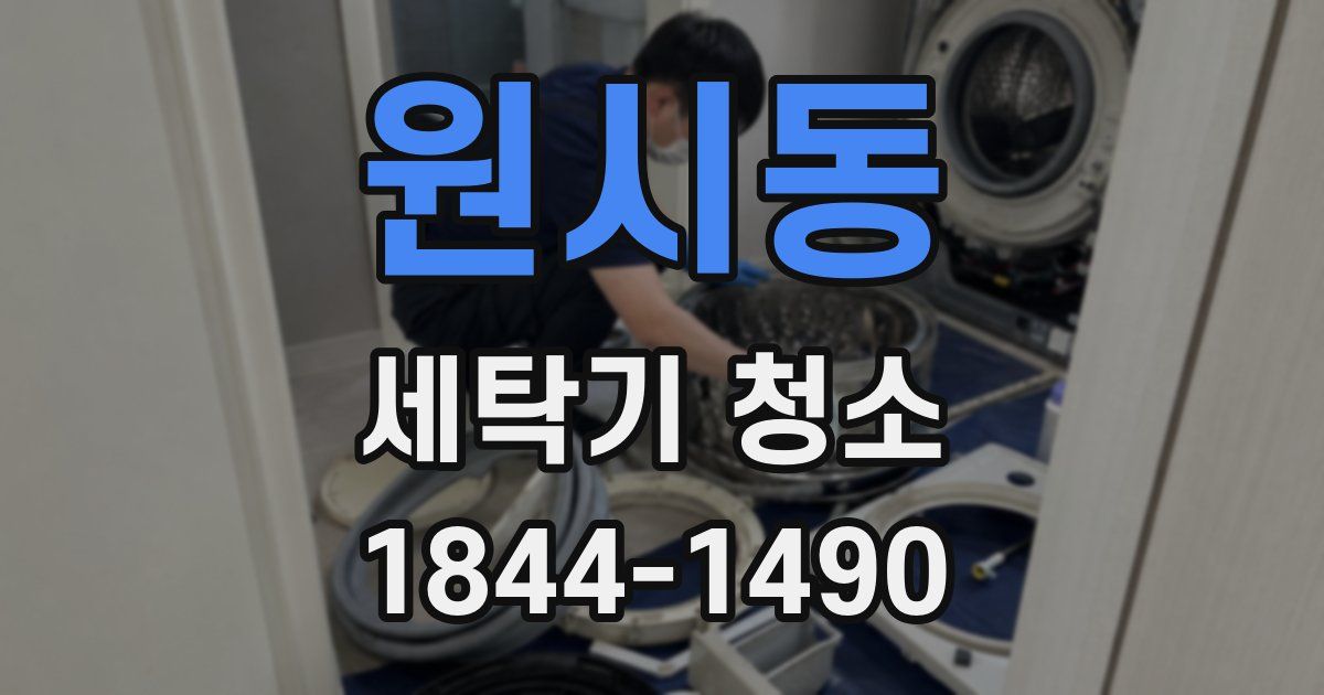 원시동 세탁기 청소
