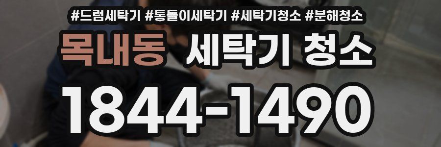 목내동 세탁기 청소