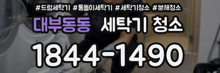 대부동동 세탁기 청소