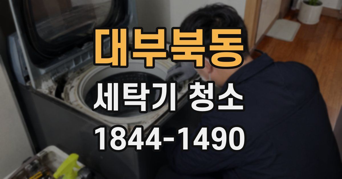 대부북동 세탁기 청소