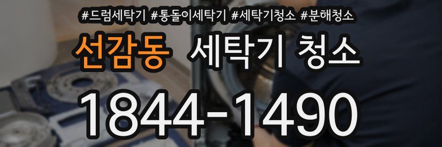 선감동 세탁기 청소