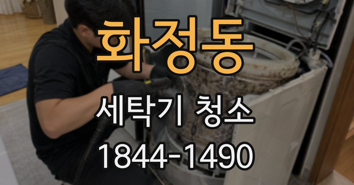 화정동 세탁기 청소
