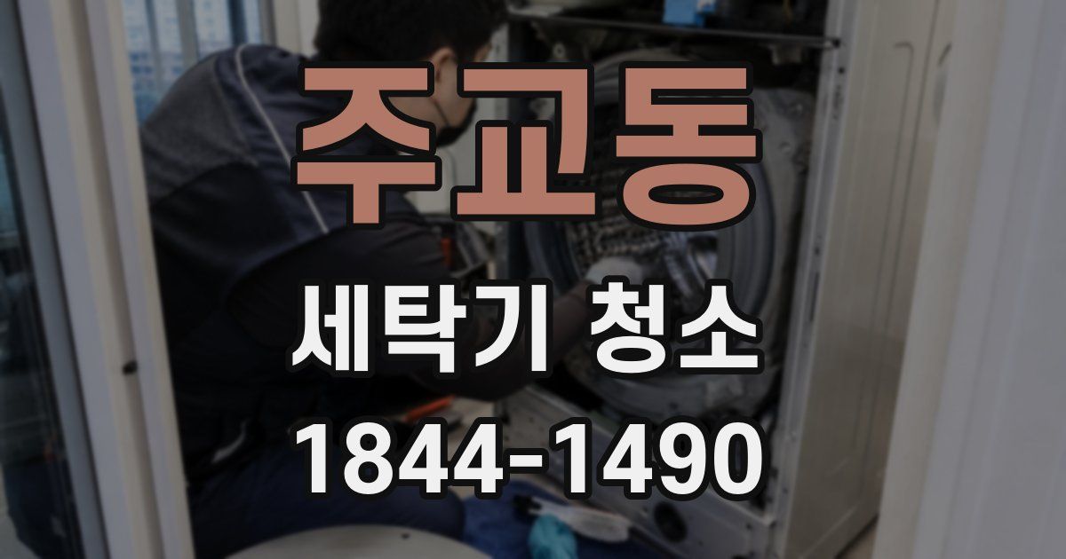 주교동 세탁기 청소