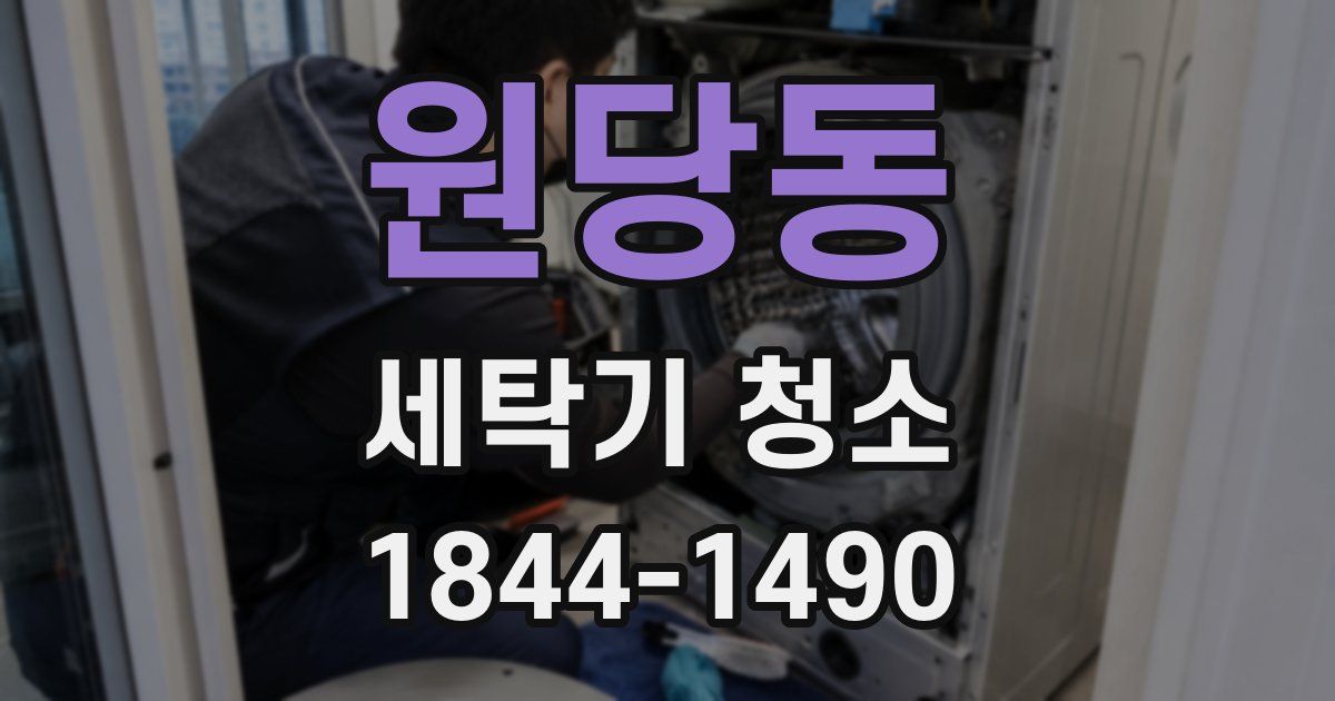 원당동 세탁기 청소