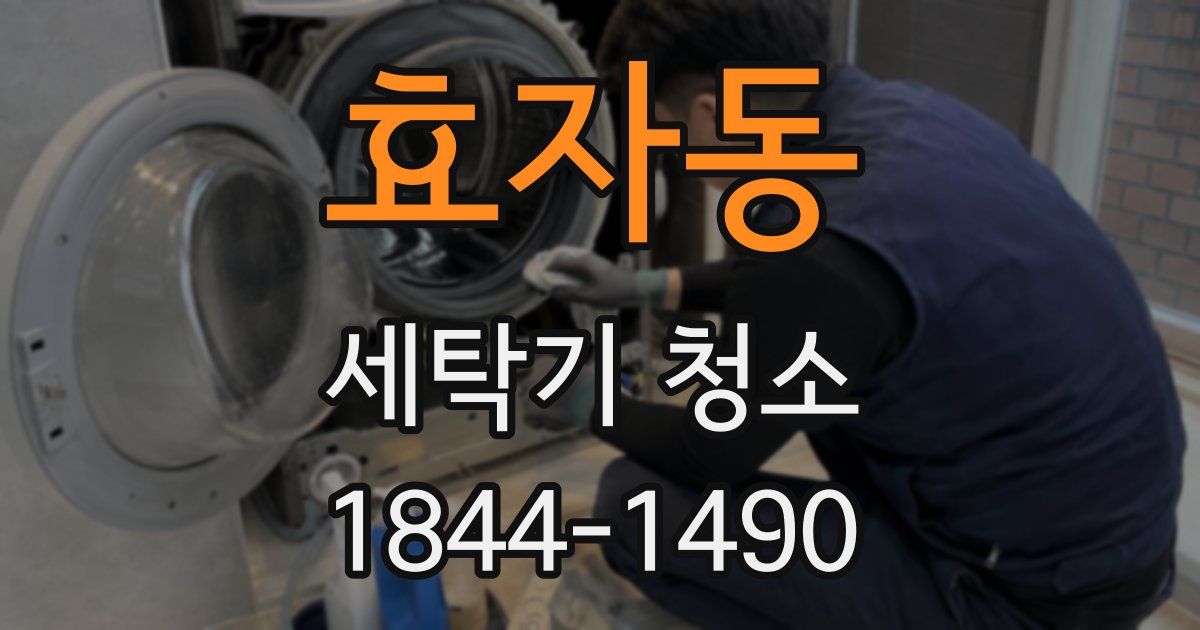 효자동 세탁기 청소