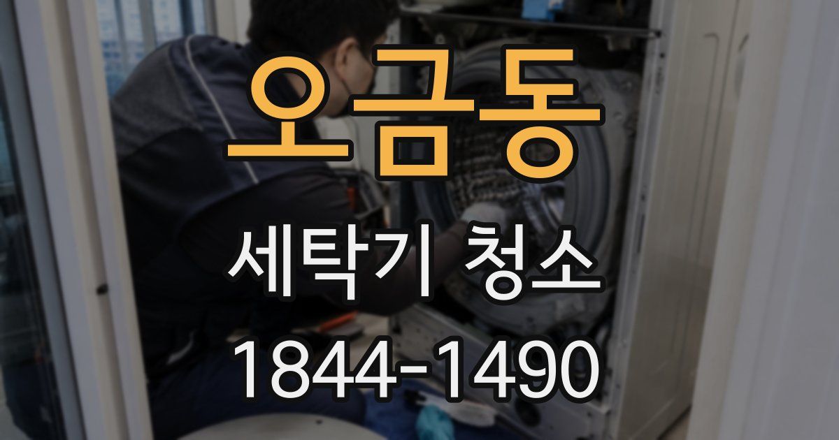 오금동 세탁기 청소
