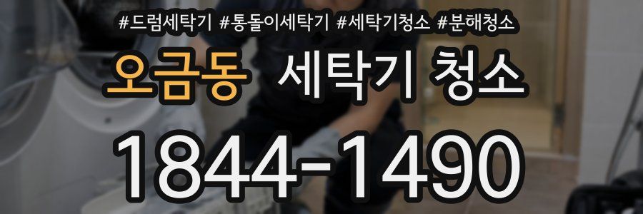 오금동 세탁기 청소