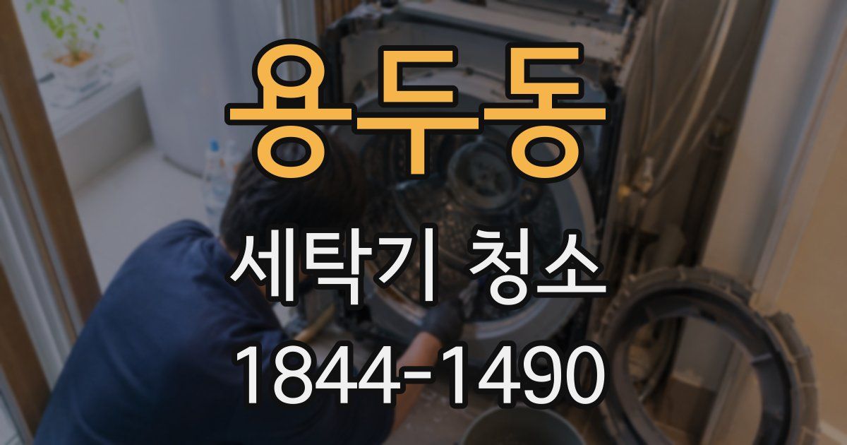 용두동 세탁기 청소