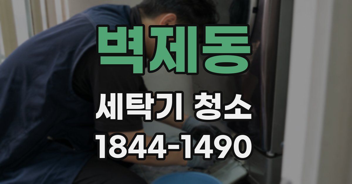 벽제동 세탁기 청소