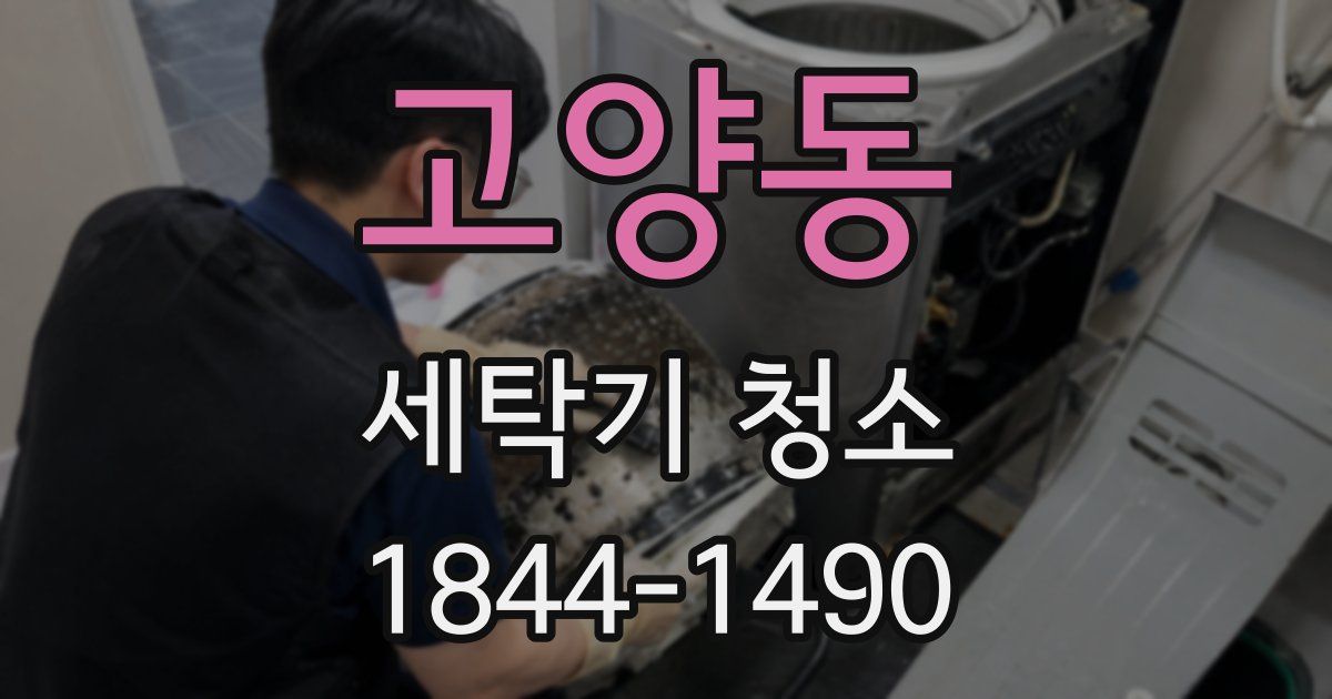 고양동 세탁기 청소