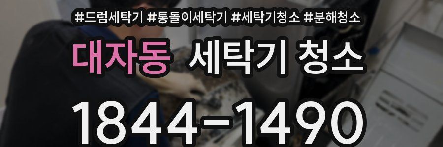 대자동 세탁기 청소