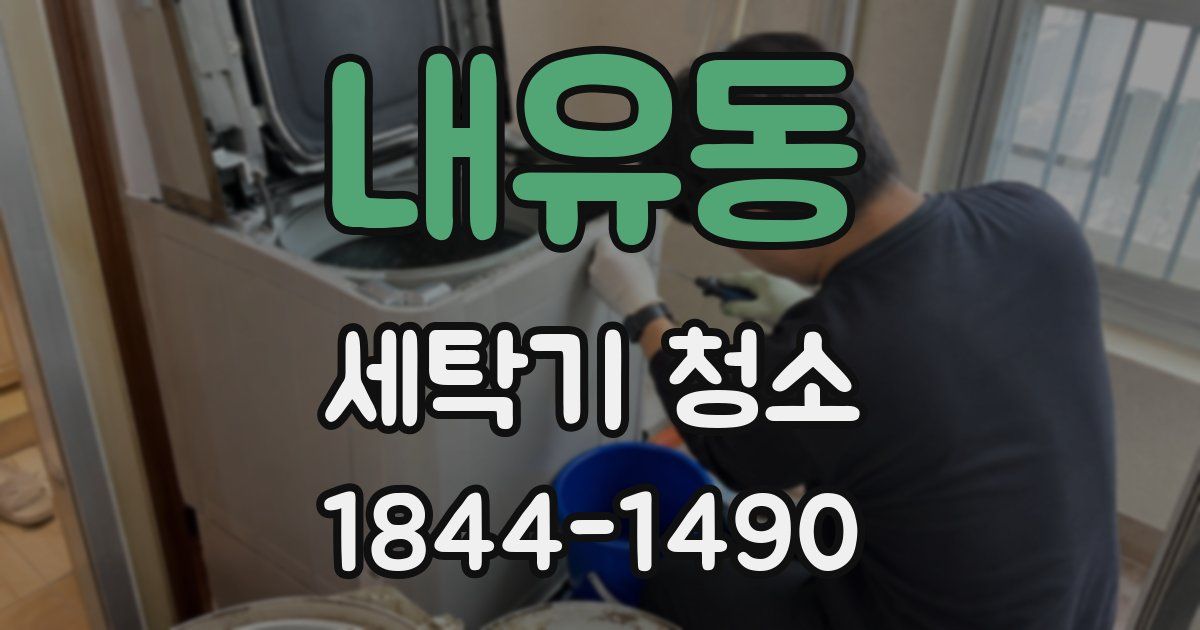 내유동 세탁기 청소