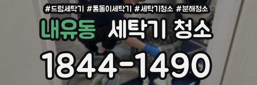 내유동 세탁기 청소