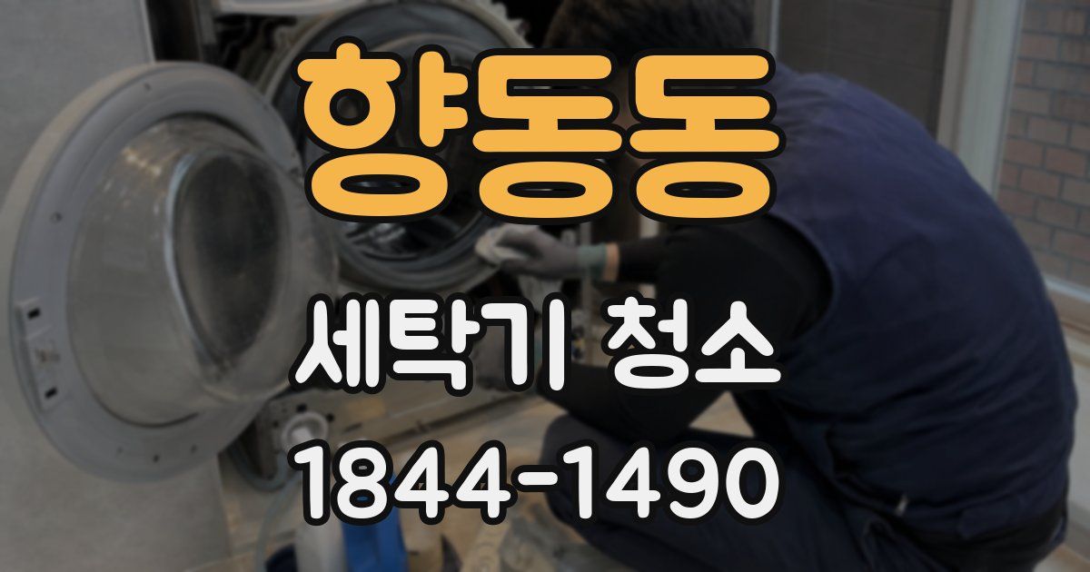 향동동 세탁기 청소