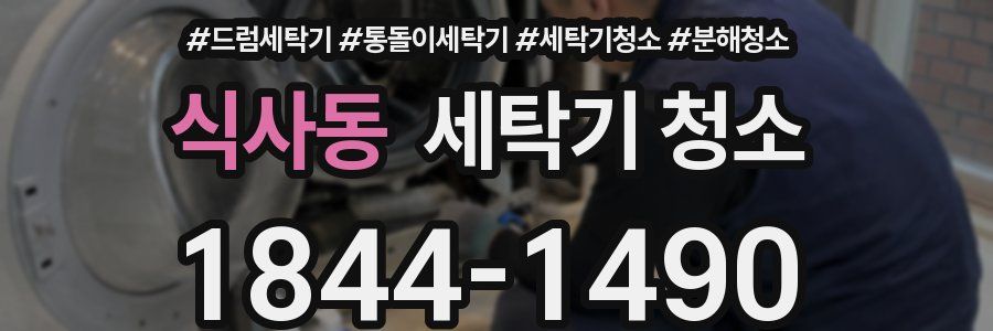 식사동 세탁기 청소
