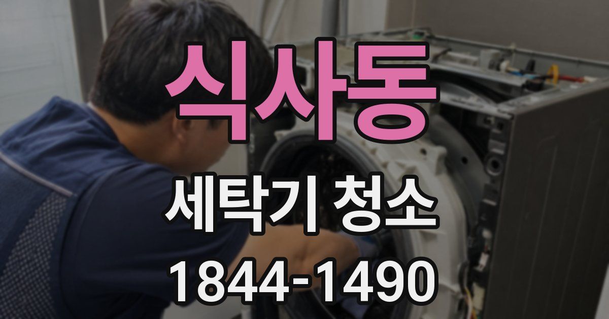 식사동 세탁기 청소