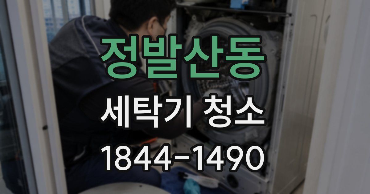 정발산동 세탁기 청소