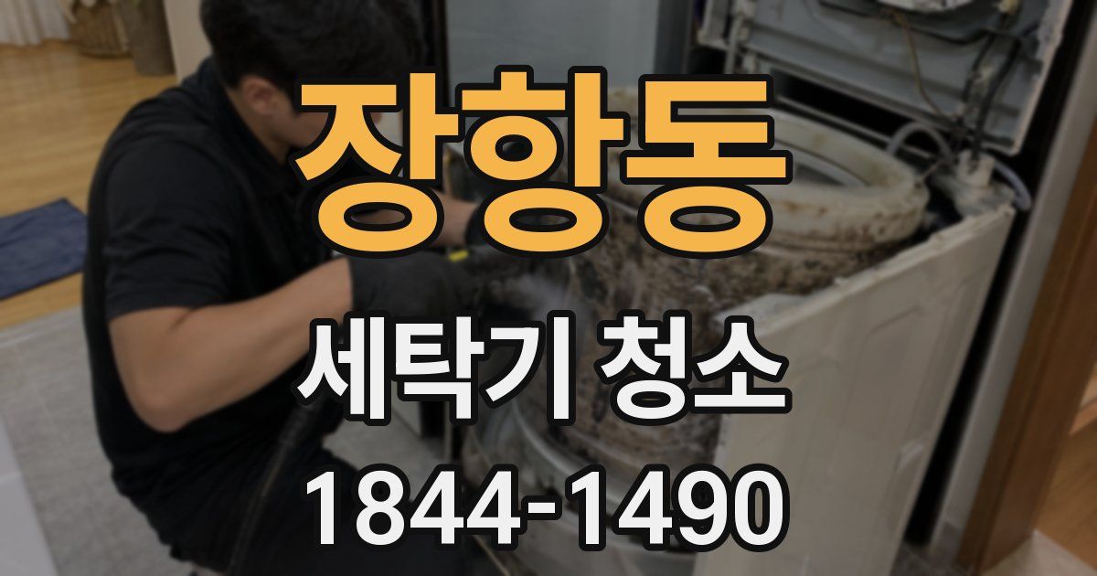 장항동 세탁기 청소