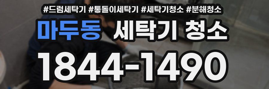 마두동 세탁기 청소