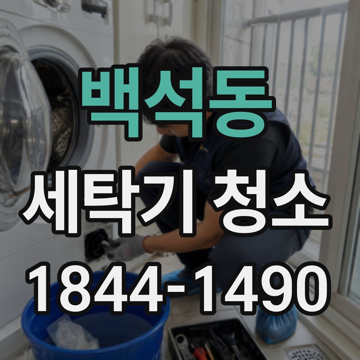 백석동 세탁기 청소