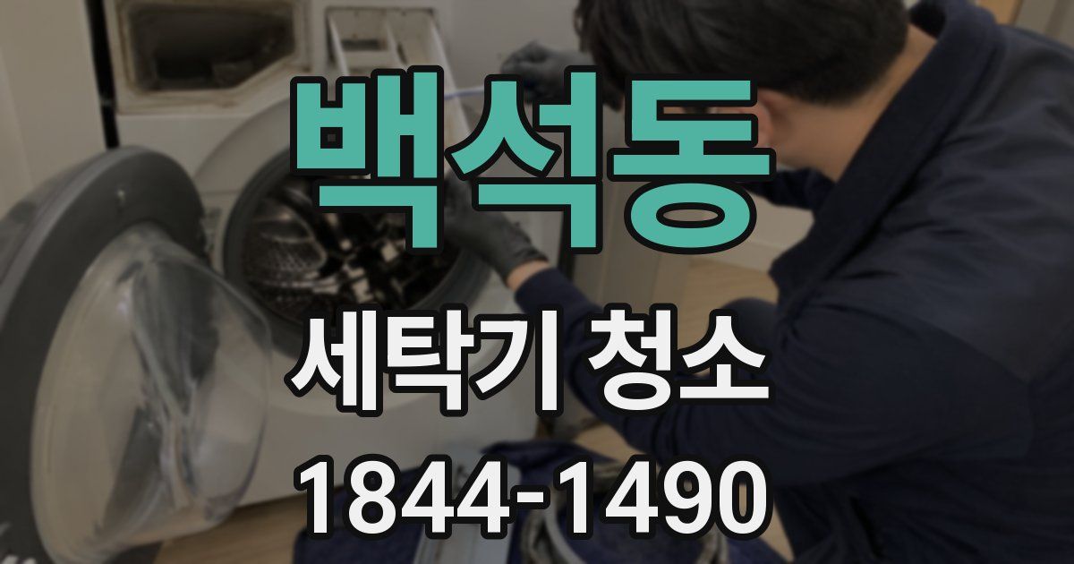 백석동 세탁기 청소