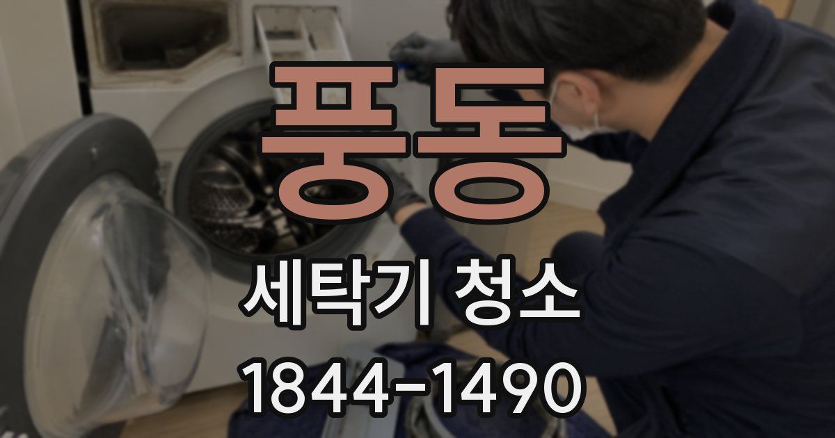풍동 세탁기 청소