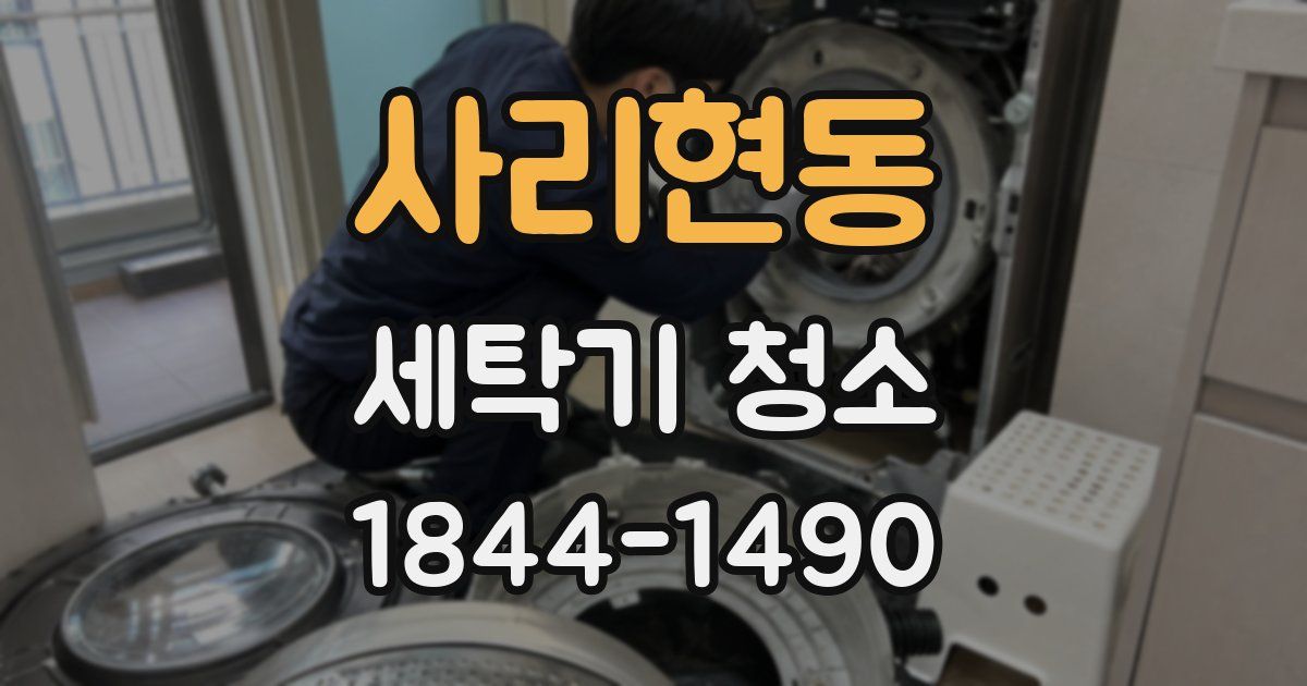 사리현동 세탁기 청소