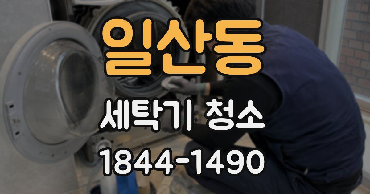 일산동 세탁기 청소