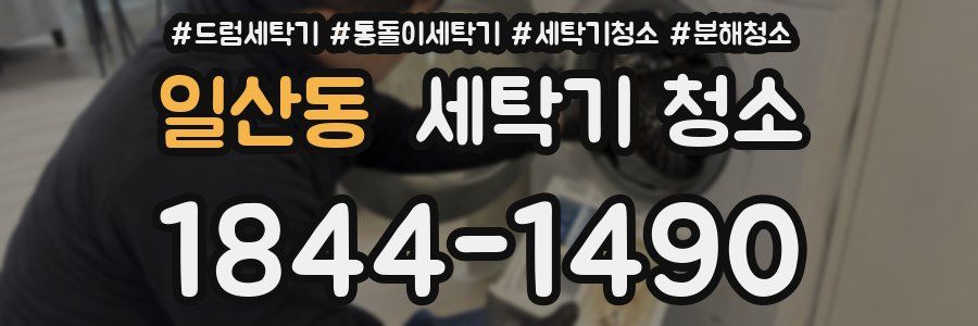 일산동 세탁기 청소