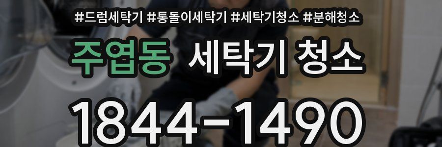 주엽동 세탁기 청소