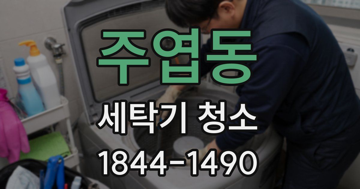 주엽동 세탁기 청소