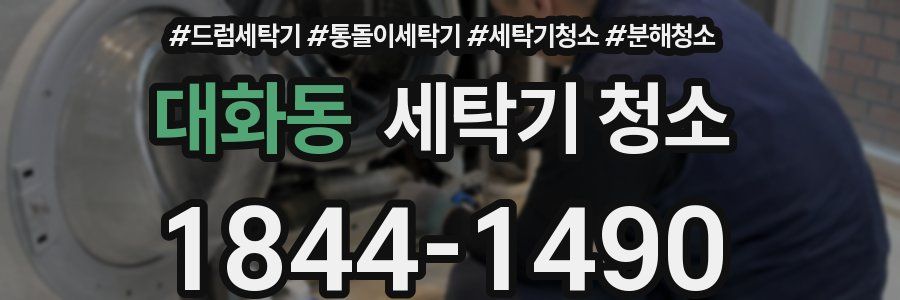 대화동 세탁기 청소