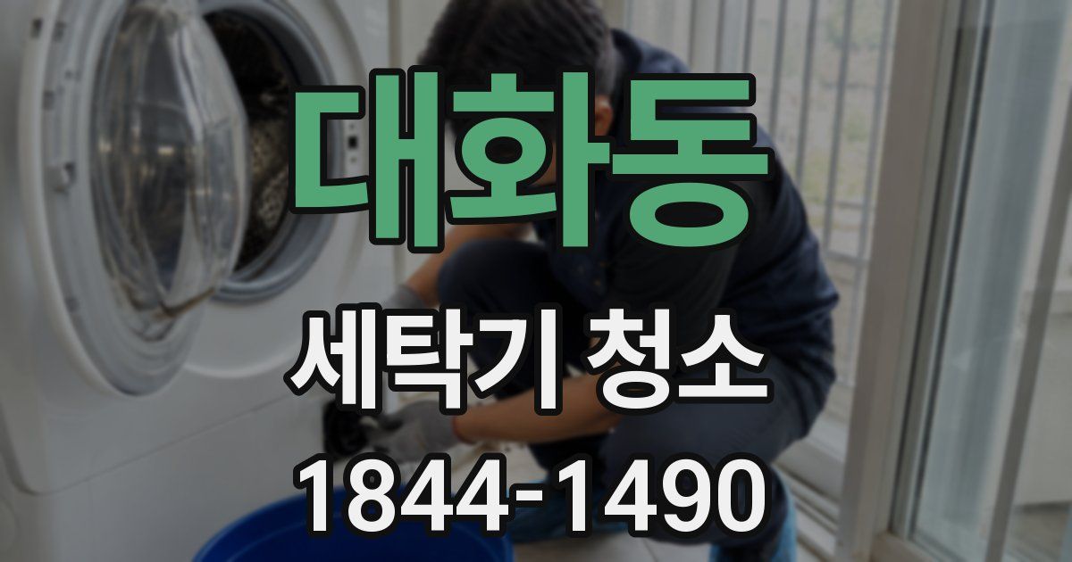 대화동 세탁기 청소