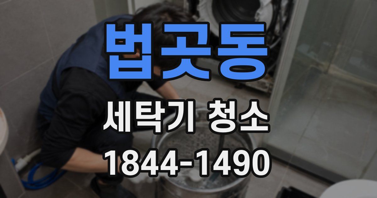 법곳동 세탁기 청소