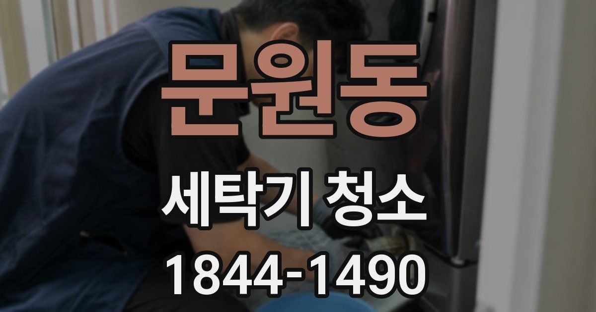 문원동 세탁기 청소