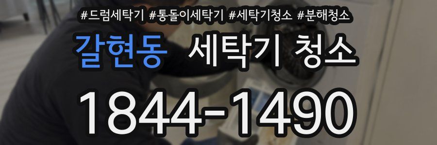 갈현동 세탁기 청소
