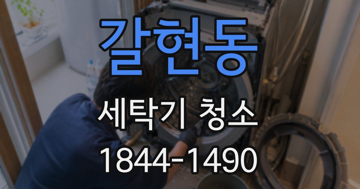 갈현동 세탁기 청소
